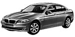 BMW F10 U258A Fault Code